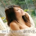 Swingers Groveland